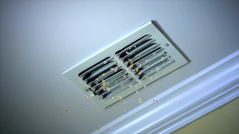 Best HVAC Duct Inspection Services  in Battlefield, MO